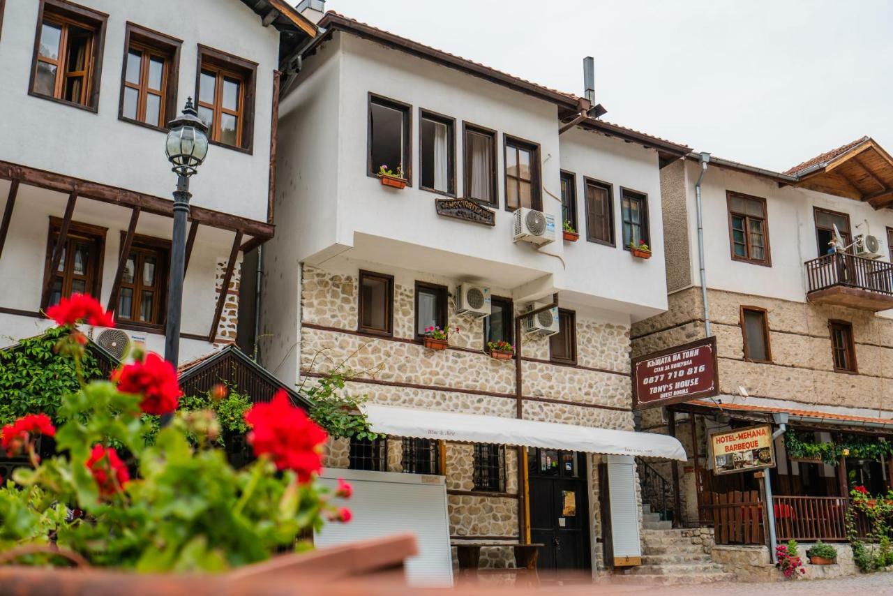 Toni'S Guest House Мельник Экстерьер фото